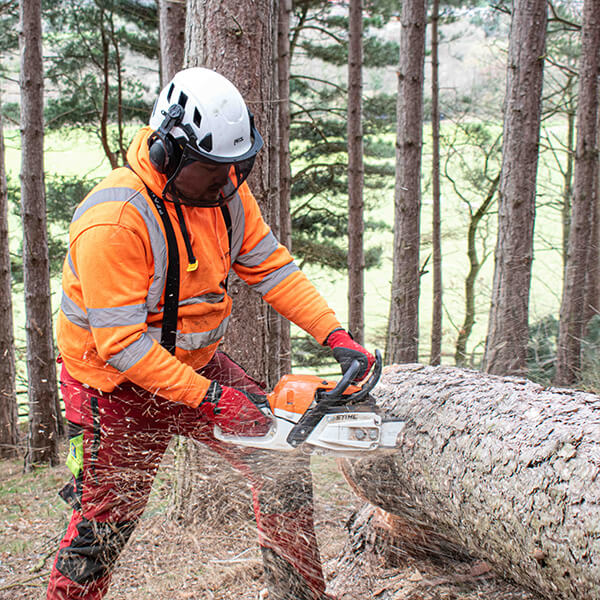 Man in high vis safety jacket, hard hat and safety goggles holding an electric saw, cutting up a tree.